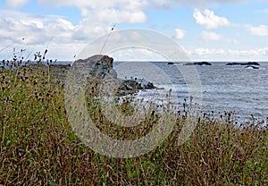 Biscayan Cove seascape, NL Canada