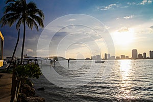 Biscayne Bay skyline