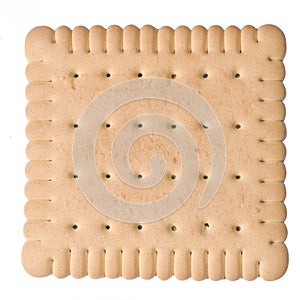 Biscuit
