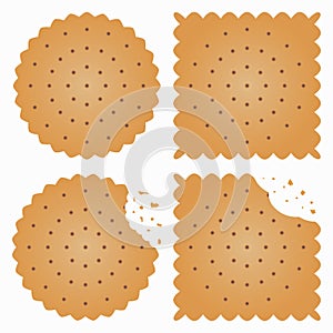 Biscuit, cracker with bite marks and crumbles. Vector.