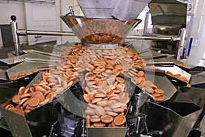 Biscuit factory photo