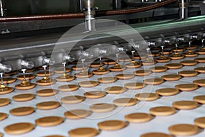 Biscuit and waffle production factory line, conveyor belt