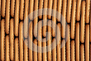 Biscuits background. Close-up of biscuits in a row.