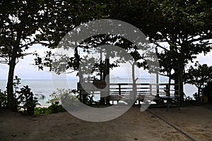 Bise Fukugi Tree Road in Okinawa, Japan