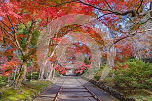 Bishamondo Temple with red maple leaves or fall foliage in autumn season. Colorful trees, Kyoto, Japan. Nature landscape