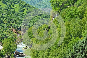 Bisheh valley and river in Zagros forests of Lorestan , Iran