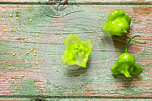 Bishop crown chili pepper