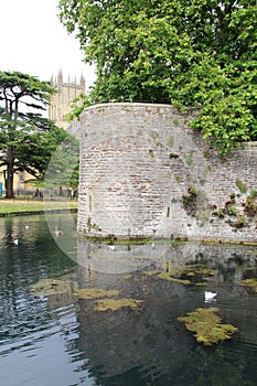 The Moat and Cathedral in The City Of Wells, Somerset, England photo