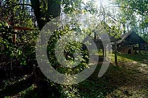 Poland: Biskupin ancient celts wooden cottage photo