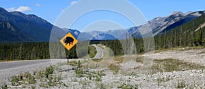 Bison crossing sign
