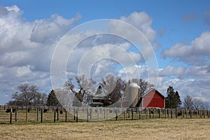 Bison Farm with Red Barn in Fermilab - Batavia Illinois