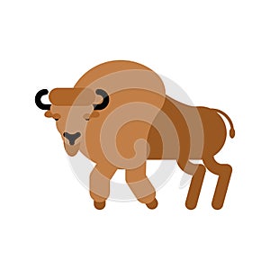 Bison isolated. Aurochs Zubr. Wild Bull. Buffalo Vector illustration