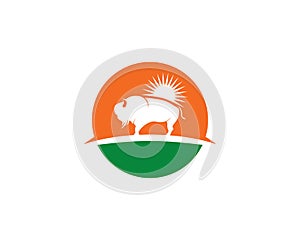 Bison logo icon vector template illustration