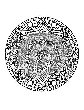 Bison Mandala Coloring Pages for Adults