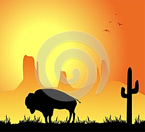 Bison silhouette at sunset