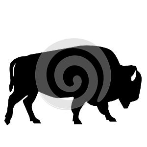 Bison vector eps illustration by crafteroks