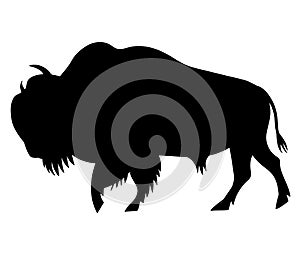 bison vector silhouette black