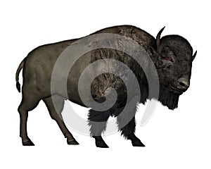 Bison walking - 3D render