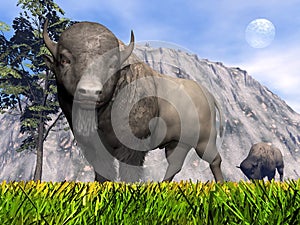 Bisons in the nature - 3D render