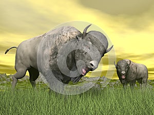 Bisons in nature - 3D render