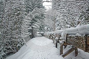 The Bisse de Saxon in Nendaz Switerland photo