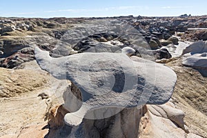 Bisti