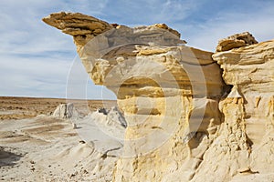 Bisti