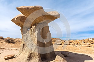 Bisti/De-Na-Zin Wilderness Area, New Mexico