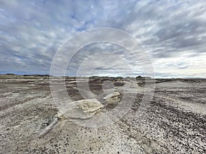 Bisti De-Na-Zin Wilderness Area - New Mexico