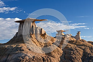 Bisti Wing