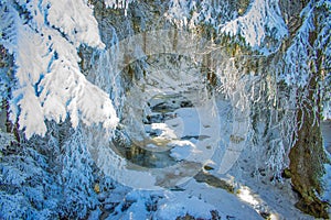 The Bistritsa River in the winter