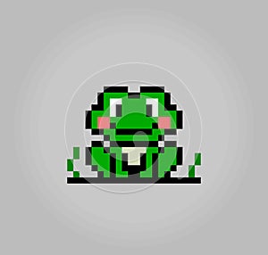 8 bit pixel frog. Animals in vector