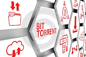 BIT TORRENT concept