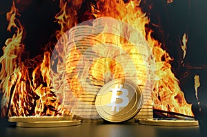 Bitcoin buring in Bonfire photo