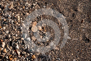 Bitcoin Coin Lies In Sand On Pebble Beach On Sunset Moraitika, Corfu, Greece. The Concept Of Payment For Nature And Unlimited