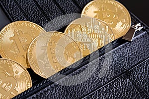 Bitcoin coins in a wallet