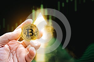 Bitcoin or cryptocurrency prices rise up positive, golden coin holding in a hand