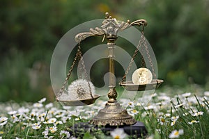 BITCOIN AND A DANDELION ON SCALES. CONCEPT: BITCOIN MINING ENERGY CONSUMPTION