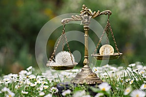 BITCOIN AND A DANDELION ON SCALES. CONCEPT: BITCOIN MINING ENERGY CONSUMPTION