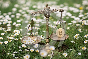 BITCOIN AND A DANDELION ON SCALES. CONCEPT: BITCOIN MINING ENERGY CONSUMPTION