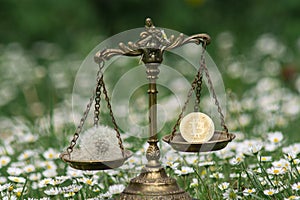 BITCOIN AND A DANDELION ON SCALES. CONCEPT: BITCOIN MINING ENERGY CONSUMPTION