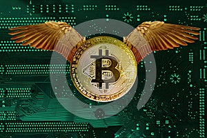 Bitcoin e-cryptocurrency with wings flies, green electronic printed circuit board, PCB with microelectronic components for