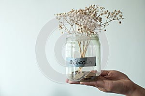 A bitcoin in a glass jar filled with gold coins and dried flower