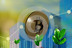 Bitcoin gold coin against industrial business green sprout background. Extraction or Mining Virtual cryptocurrency, Environment