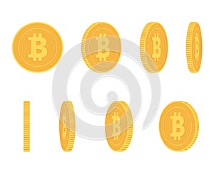 Bitcoin gold coin at different angles for animation vector set