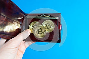 Bitcoin gold coin in leather wallet. bitcoin in the hands