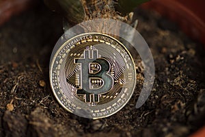 Bitcoin on the ground close up