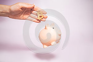 Bitcoin holding concept. Piggy bank for bitcoins.