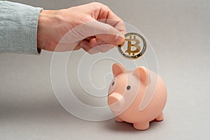 Bitcoin holding concept. Piggy bank for bitcoins. Cryptocurrency saving symbol. A man puts bitcoin in a money box on a gray backgr