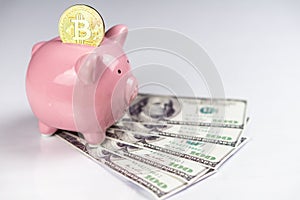 Bitcoin in piggy bank next to dollar bills